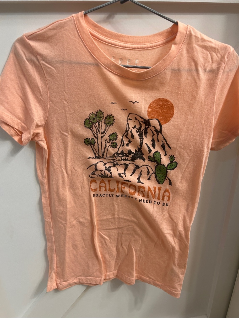 Free State Peach California Graphic Tee
